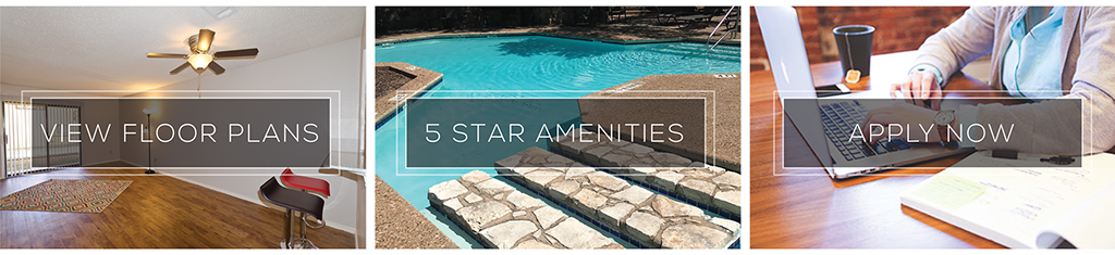 5 Star Amenities